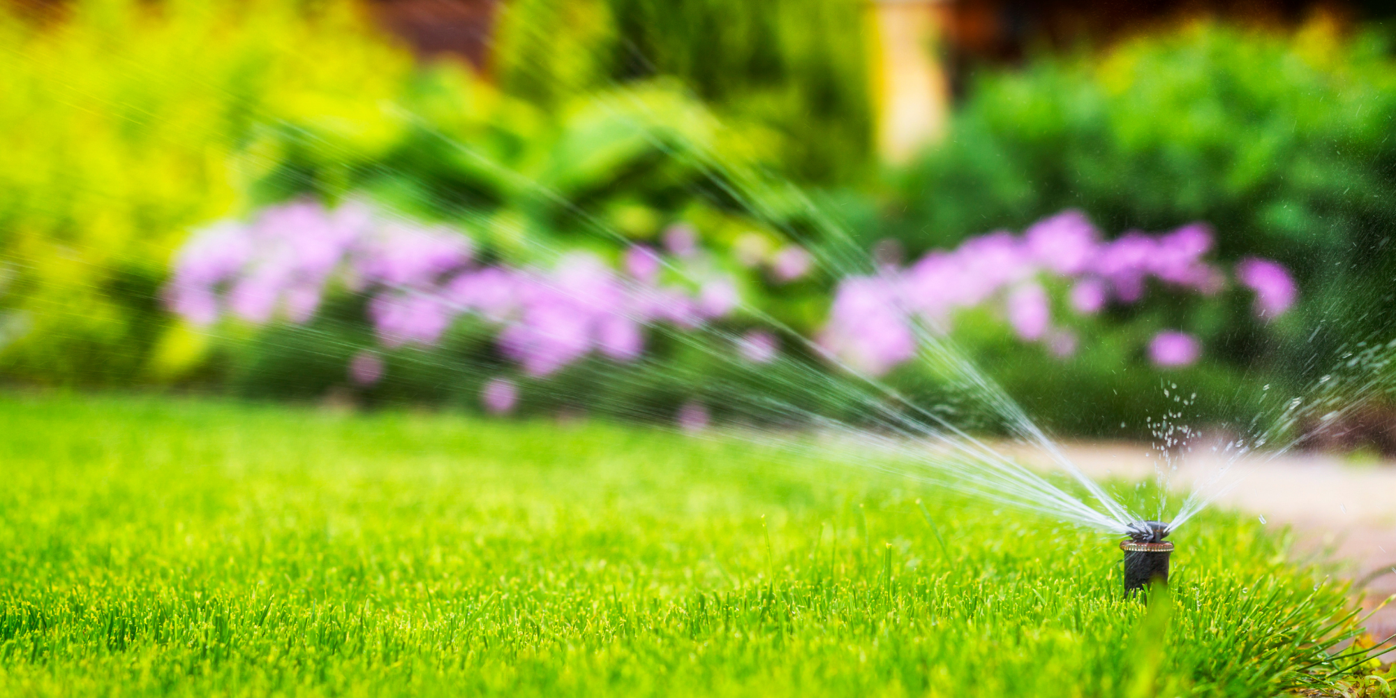 Home Irrigation System CTA 1