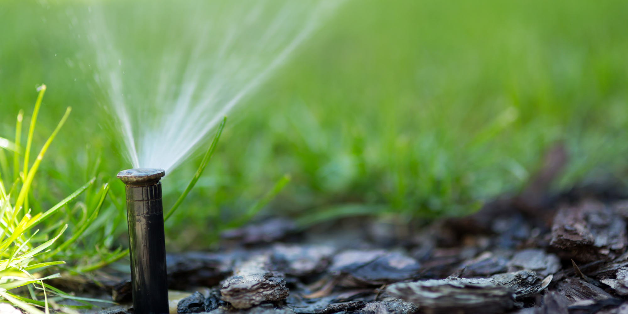 Home Irrigation System