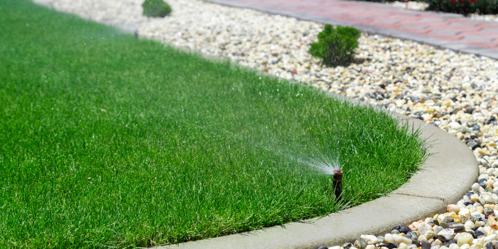 Sprinklers watering lawn