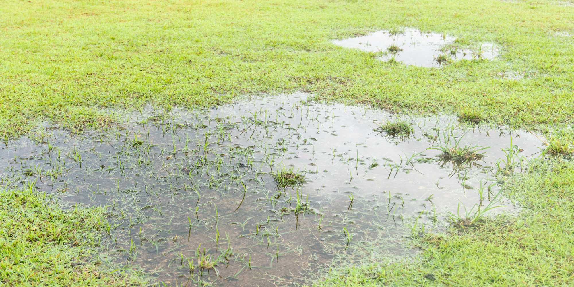 Yard Drainage Problems